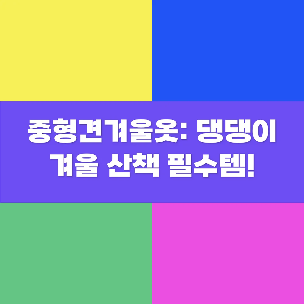 썸네일 이미지