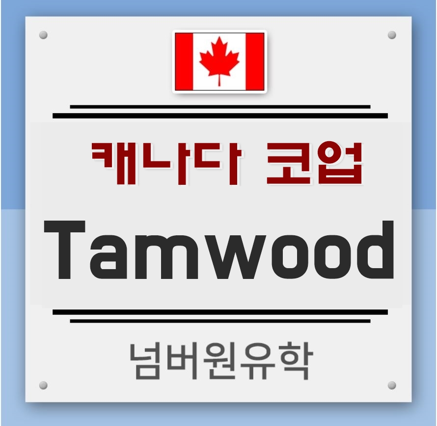  청주유학원,  캐나다어학원 탐우드 파헷치기!