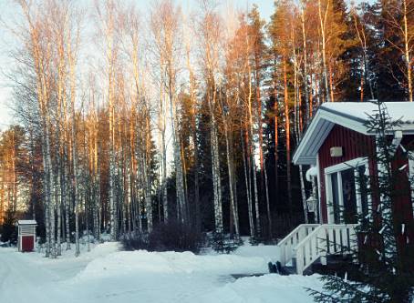 핀란드-겨울