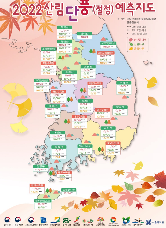 단풍절정시기