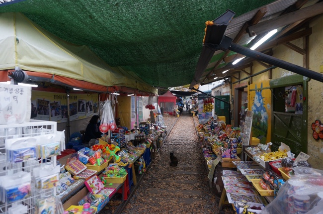 군산엄마들이 2020_엄마 아빠랑 15