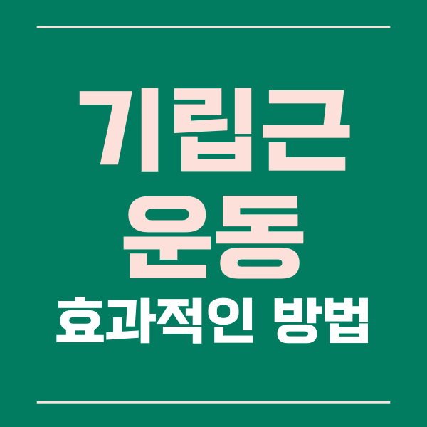  기립근 운동의 효과적인 방법과 팁 정보