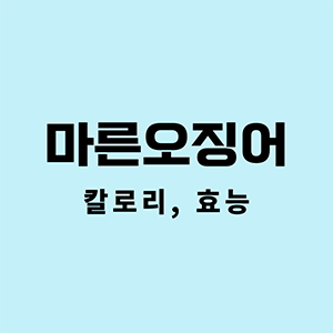 마른오징어