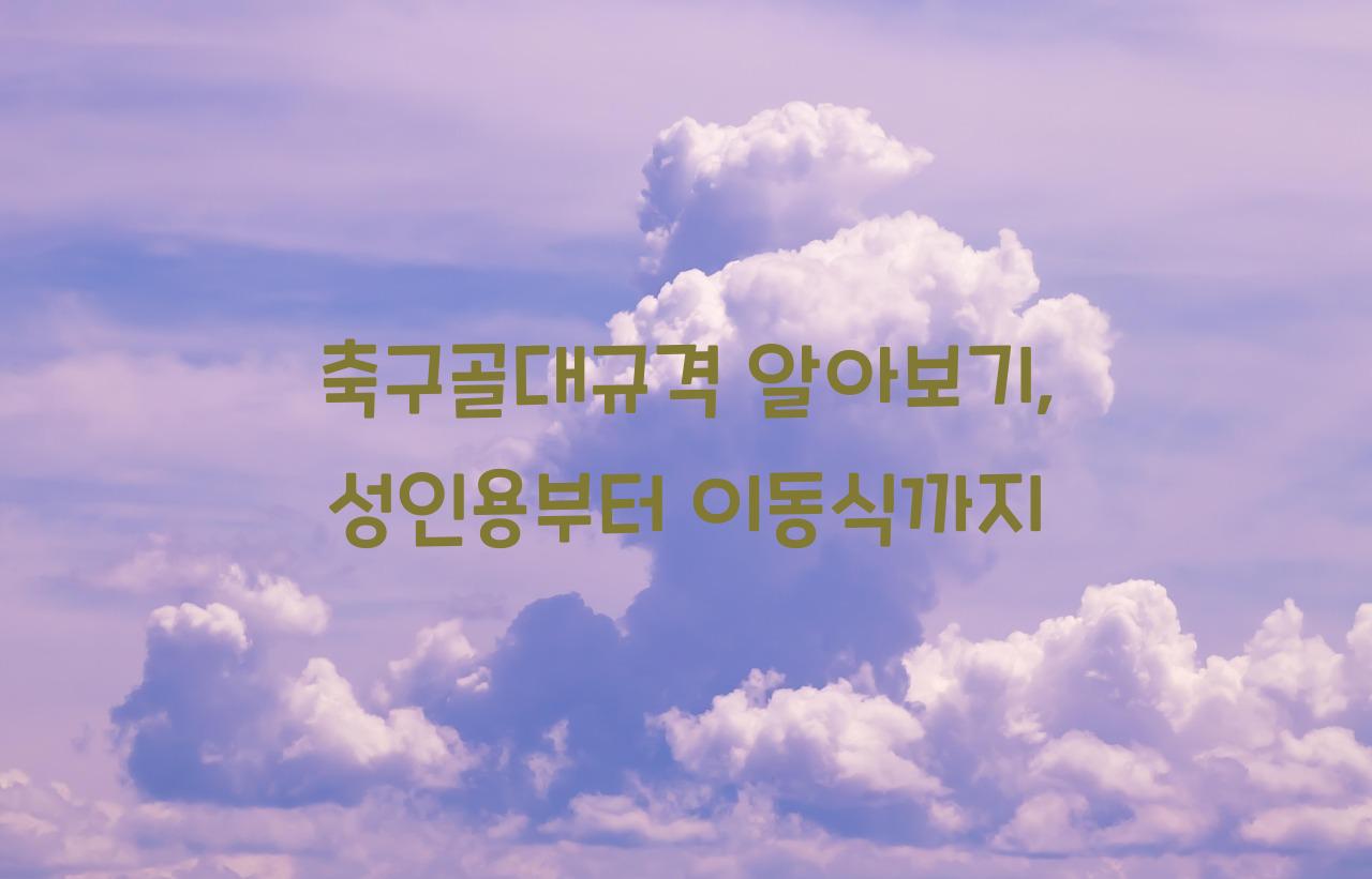 축구골대규격