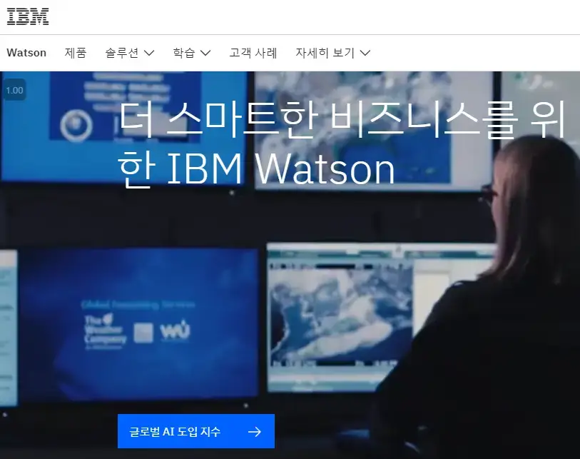 IBM왓슨