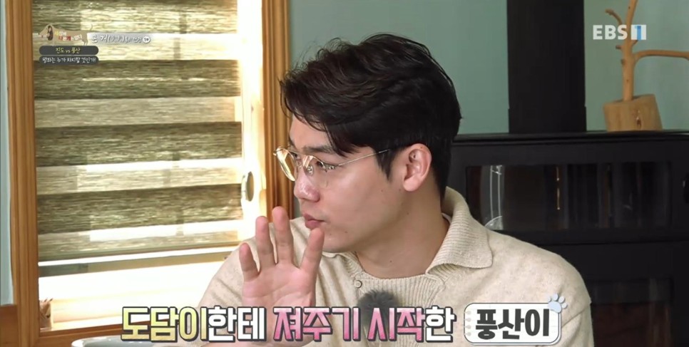 풍산개의치열한 혈투와 전쟁 - EBS 세상에 나쁜 개는