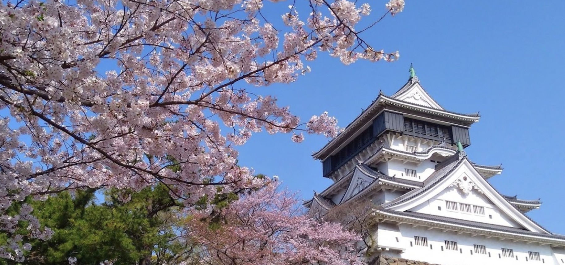 후쿠오카 벚꽃축제&#44; 벚꽃 명소 리스트 + 벚꽃 여행 방법 정리