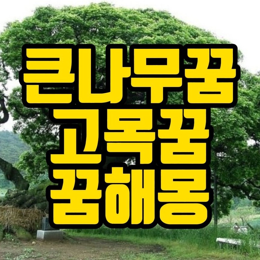  [꿈해몽] 큰나무아래쉬는꿈,고목이쓰러지는꿈,나무심는꿈,나무꿈 관련 꿈풀이