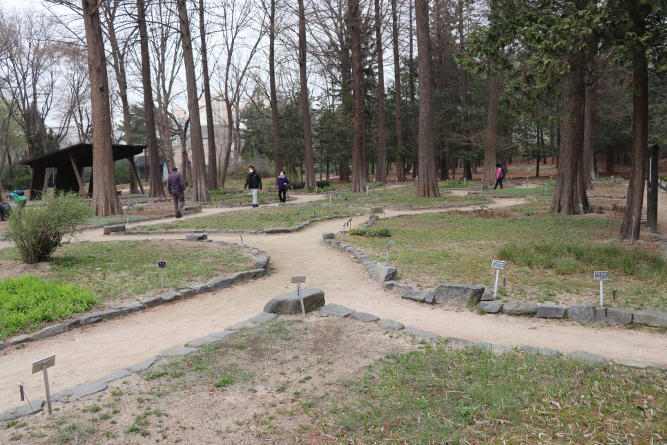 홍릉시험림(홍릉수목원) #페이지 토.일요일서울가볼만한곳 81