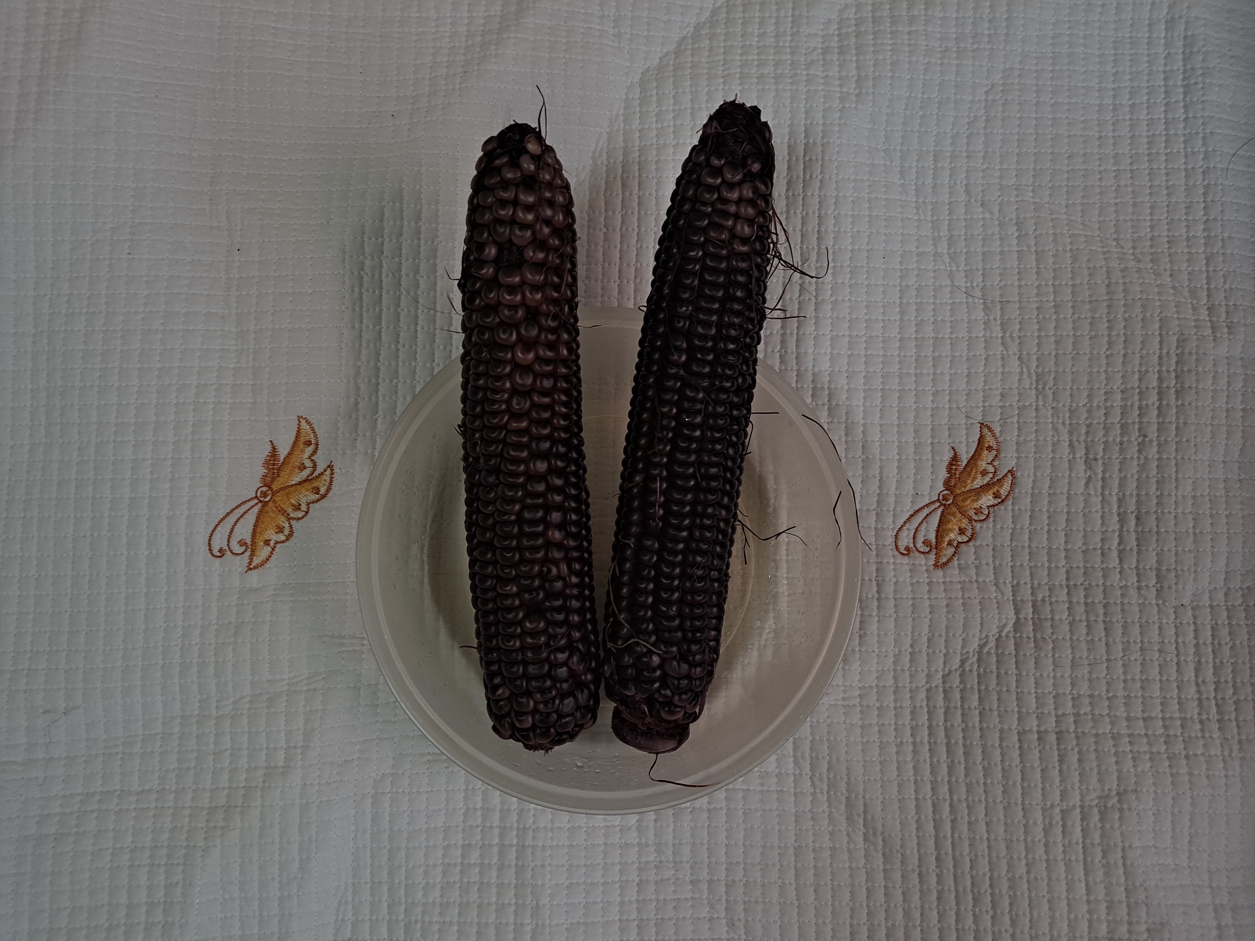  눈맛, 입맛 모두 사로잡다, 흑보석찰옥수수