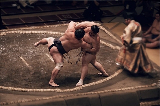 스모 경기
