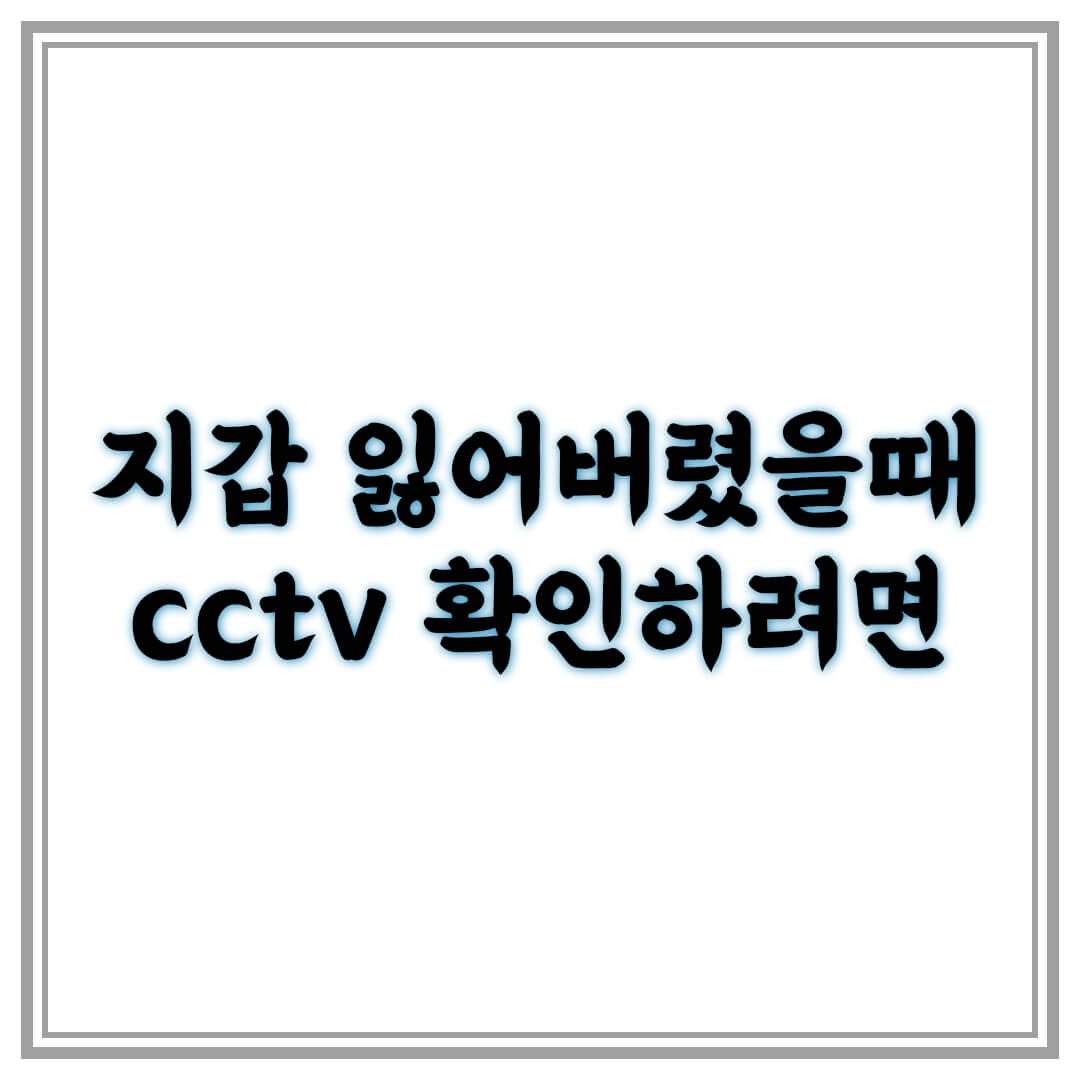 지갑-잃어버렸을-때-cctv-확인
