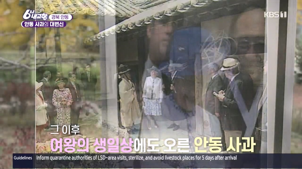 6시 내고향.E7907.231108p.H264-F1RST.mp4_20231108_202415.881.jpg