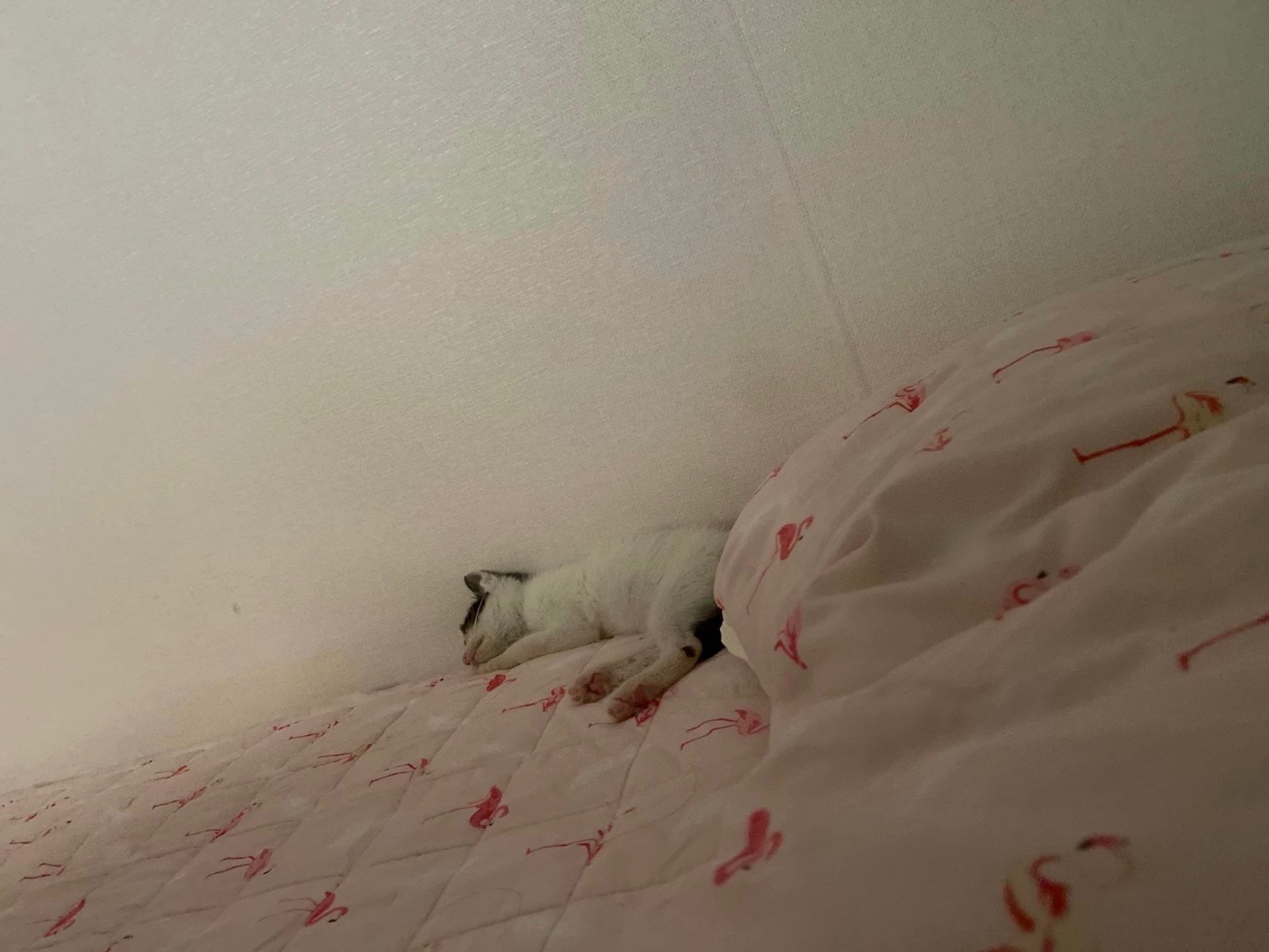 레오의 육아일기_체온관리