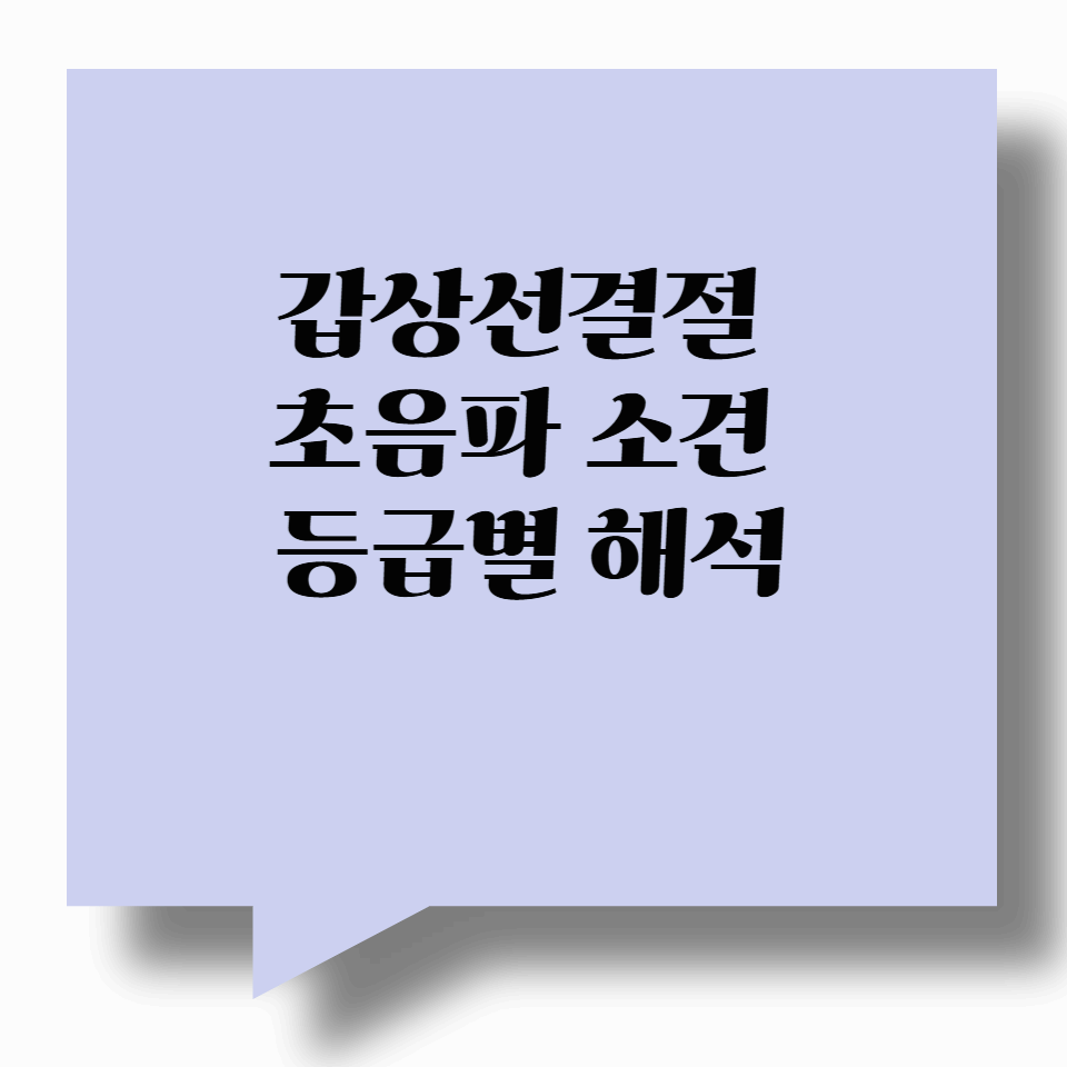 갑상선결절 초음파 소견 해석