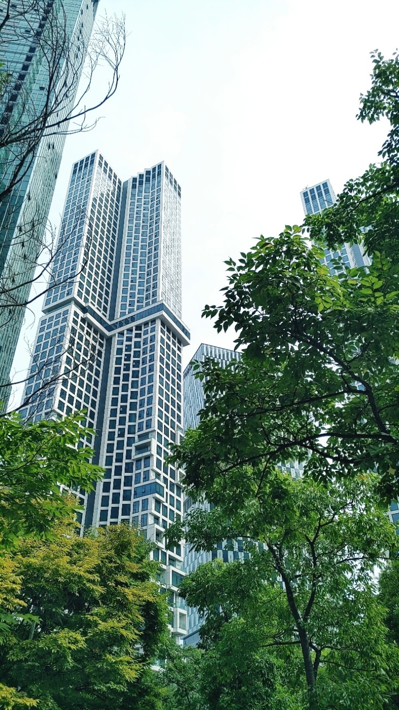  정리정돈 잘되어 있는 성수동 서울숲 D타워 직장인맛집 돈가츠맛집 정돈 돈까스