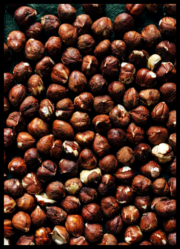 갈색-헤이즐넛-그림