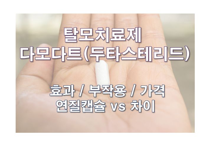 탈모약 다모다트 두타스테리드 효과 부작용 가격 연질캡슐과 정 차이 같이 먹으면 안 되는 약 정보 글 사진