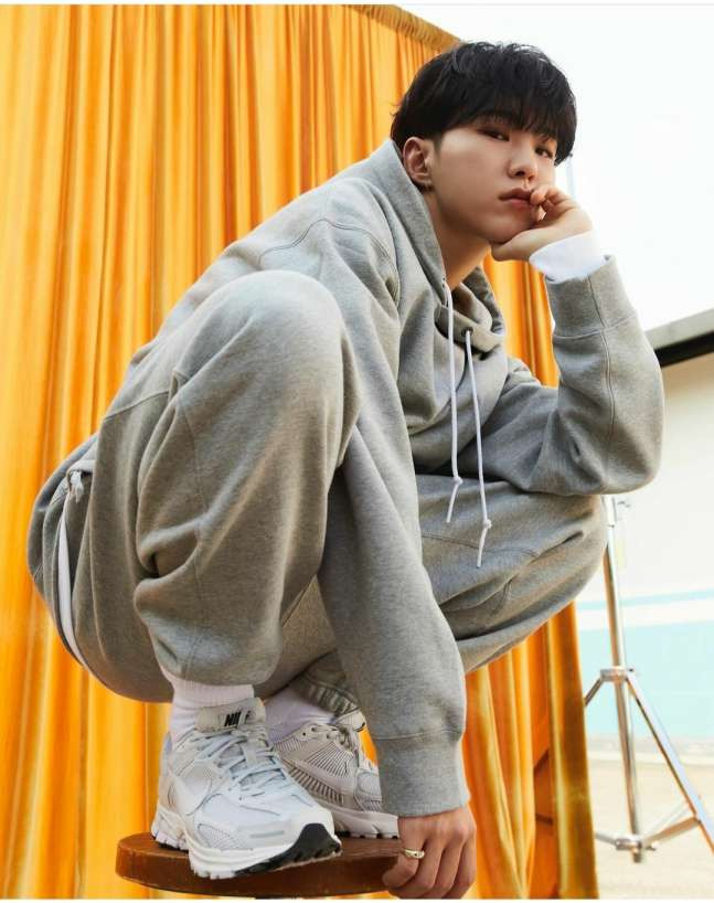 호시 이미지