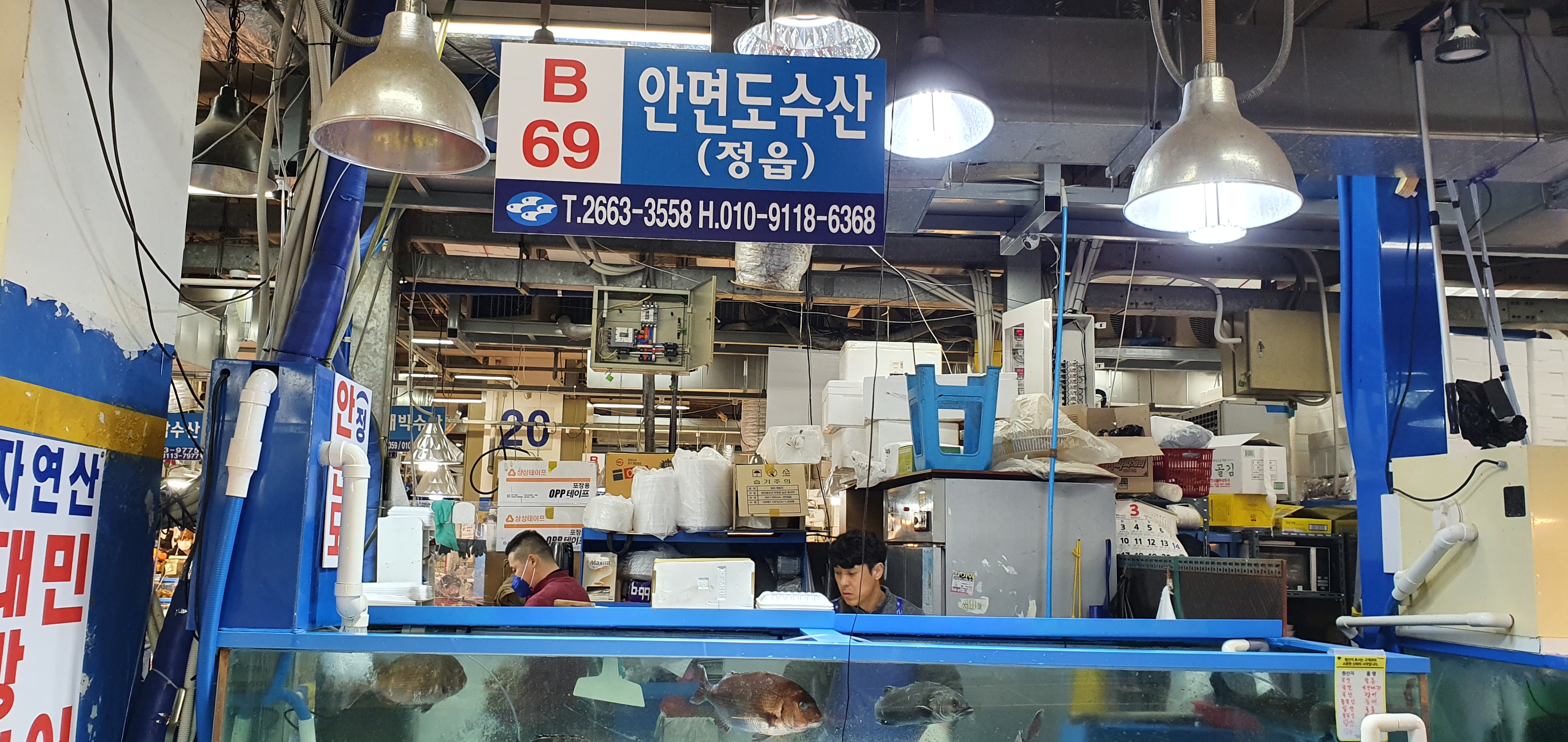  강서구 수협수산시장 마곡횟집  발산역 맛집