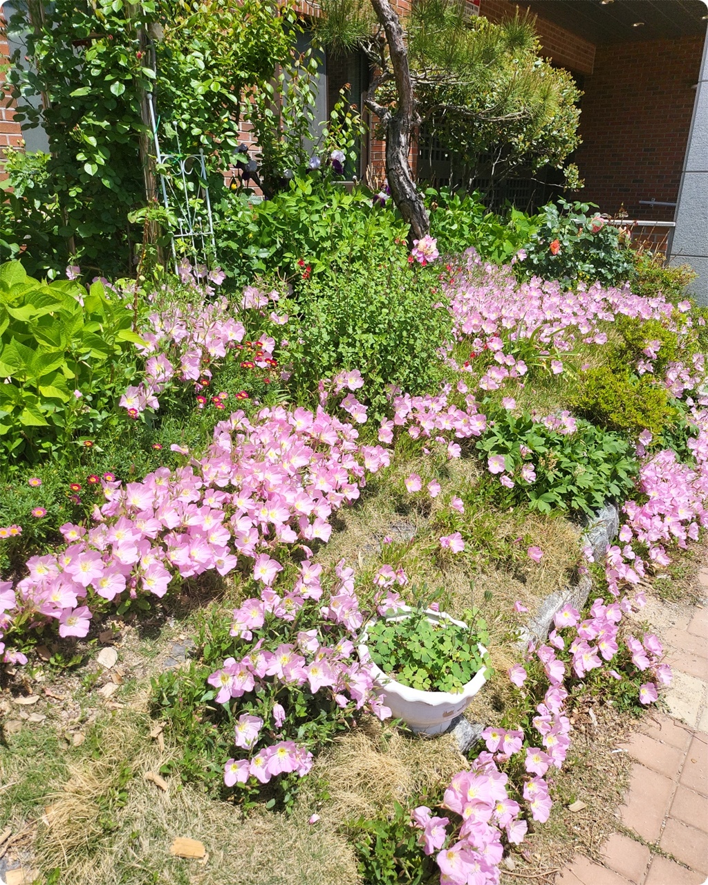 와우~ 화려하다
