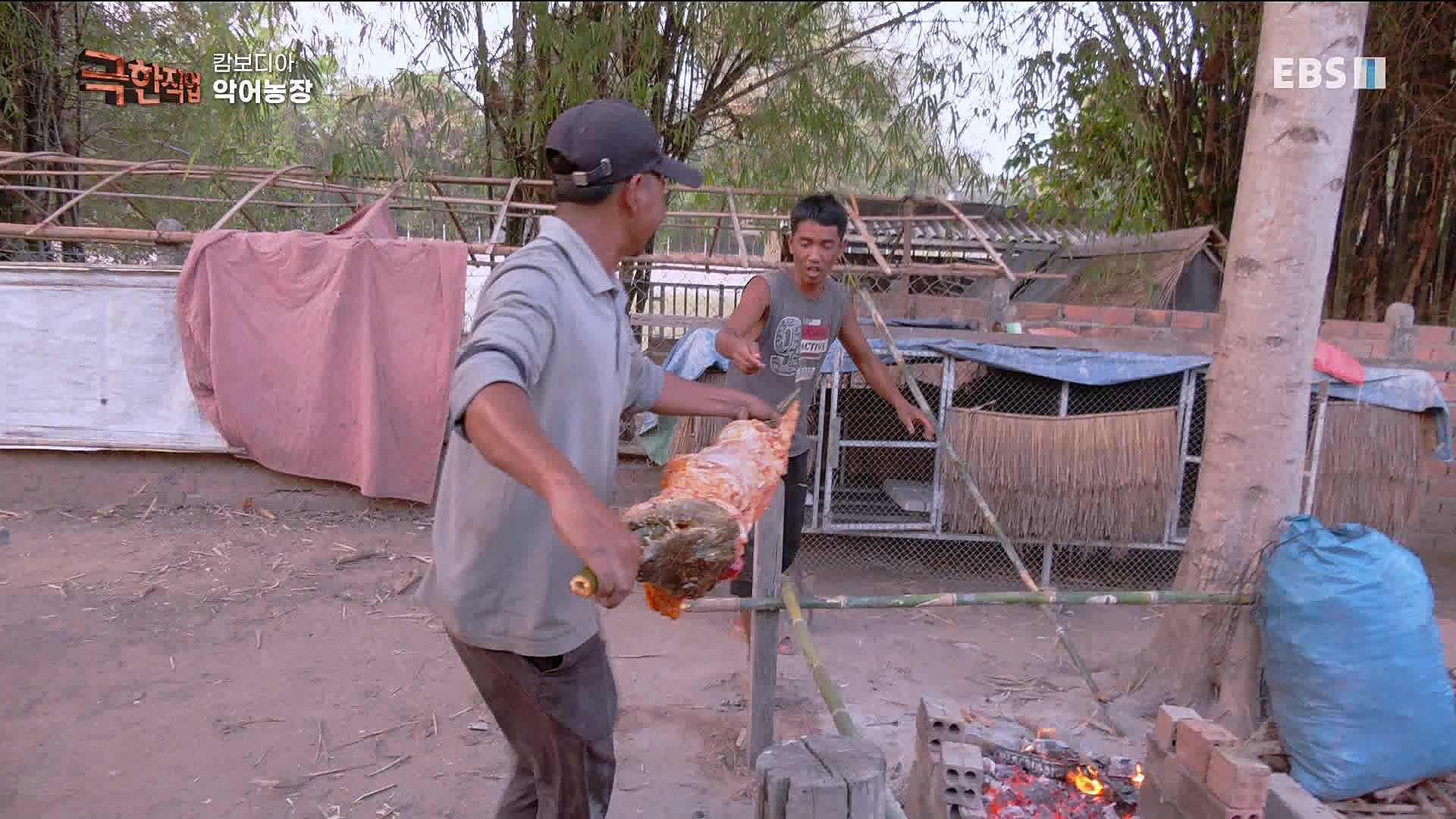 캄보디아 악어농장 230325.mp4_20230327_195000.634.jpg