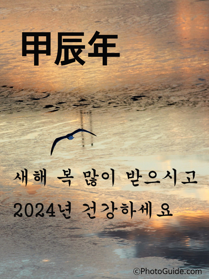 2024-새해-인사-카드-이미지
