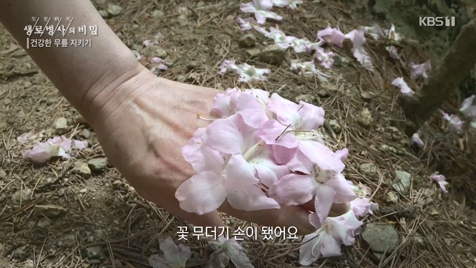 생로병사의 비밀.E873.230607p-NEXT.mp4_20230608_202203.860.jpg
