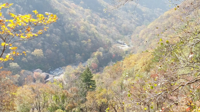 두타산자연휴양림