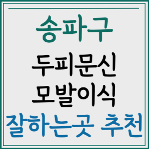 서울 송파구 두피문신