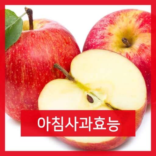 아침 사과의 효능