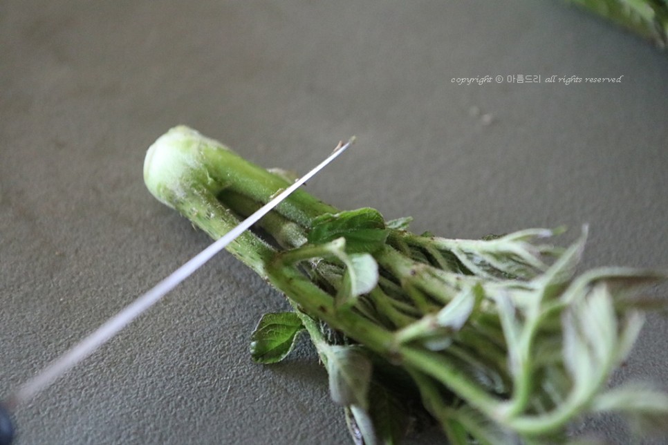 만들고 영양도 맛도 좋아요~ 오가피 요리!쇠고기 오가피꼬치 25