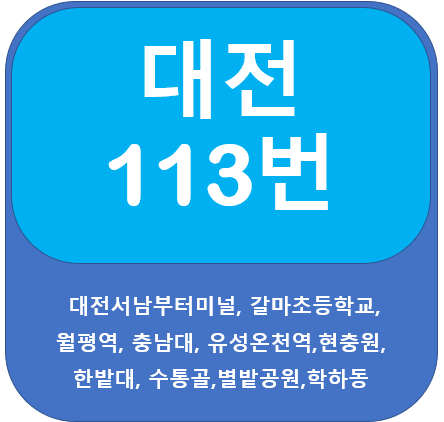  대전 113번 버스 노선정보(충남대,현충원,한밭대)
