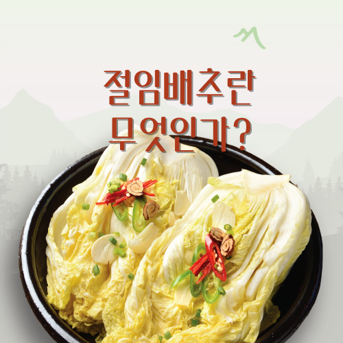 절임배추 사진_