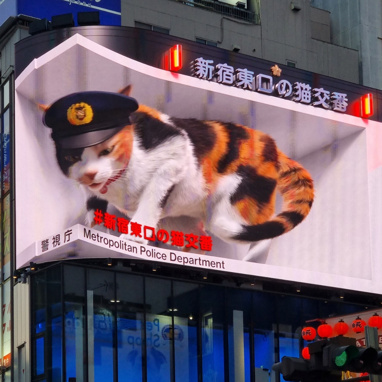 신주쿠 랜드마크
신주쿠 고양이