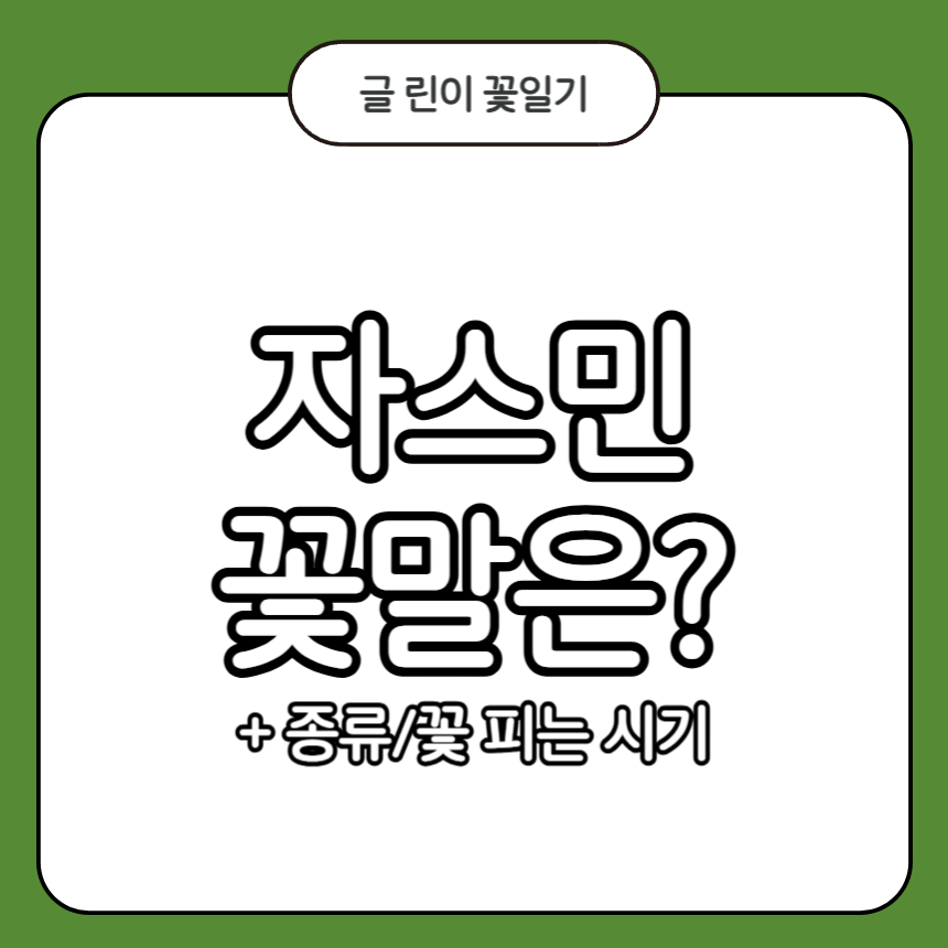자스민 꽃말