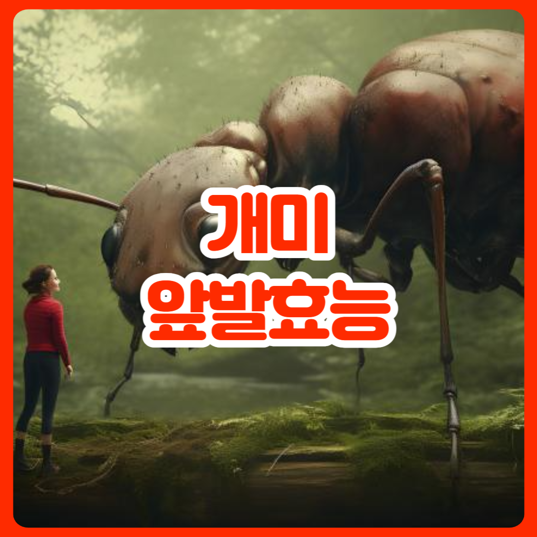 개미_앞발효능