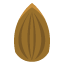 씨앗1