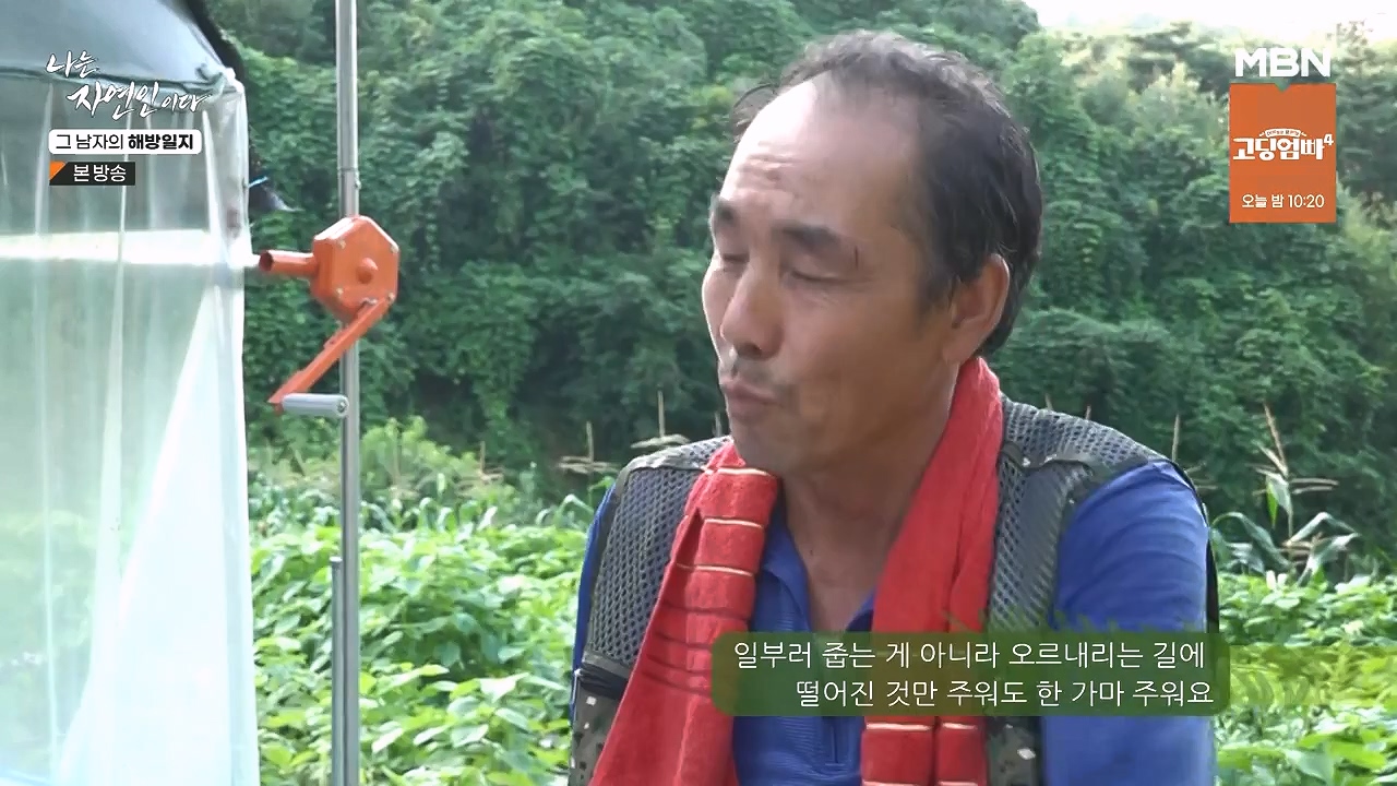 나는 자연인이다.E570.230907p-NEXT.mp4_20230909_164001.205.jpg