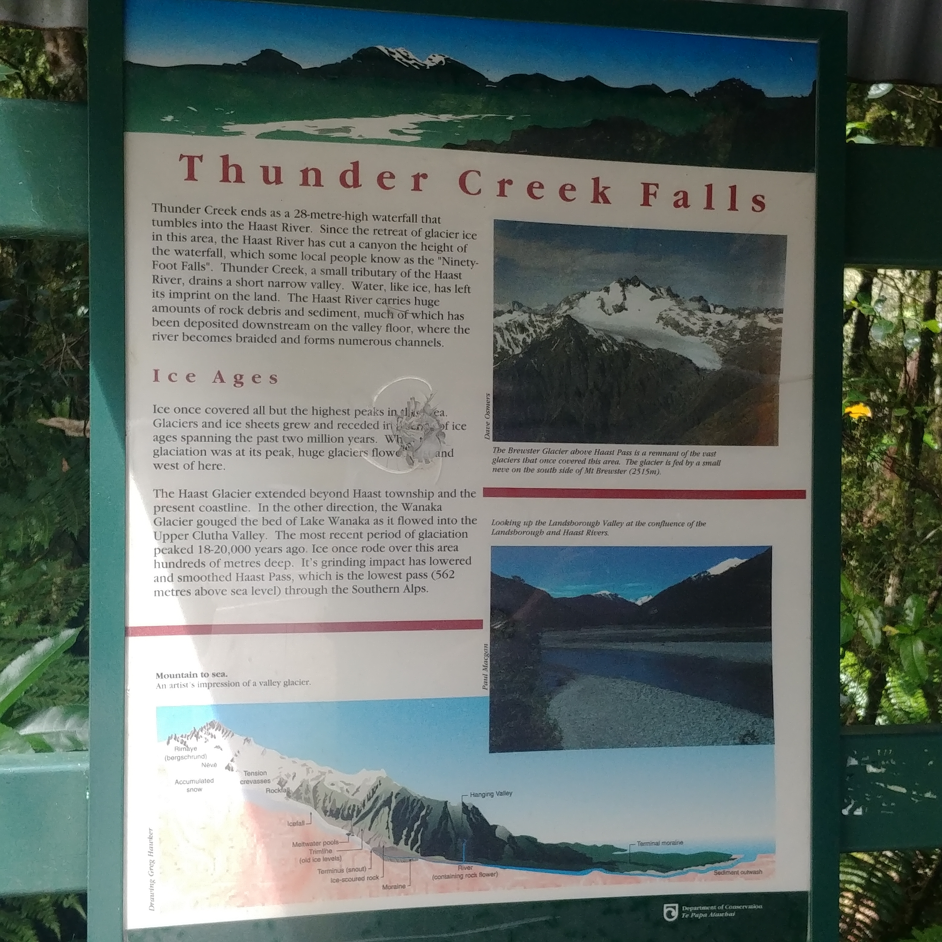 뉴질랜드 남섬 웨스트코스트 여행 폭포 Thunder Creek Falls