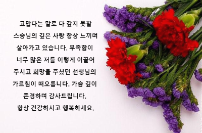 보라색 꽃과 빨간색 카네이션 꽃다발