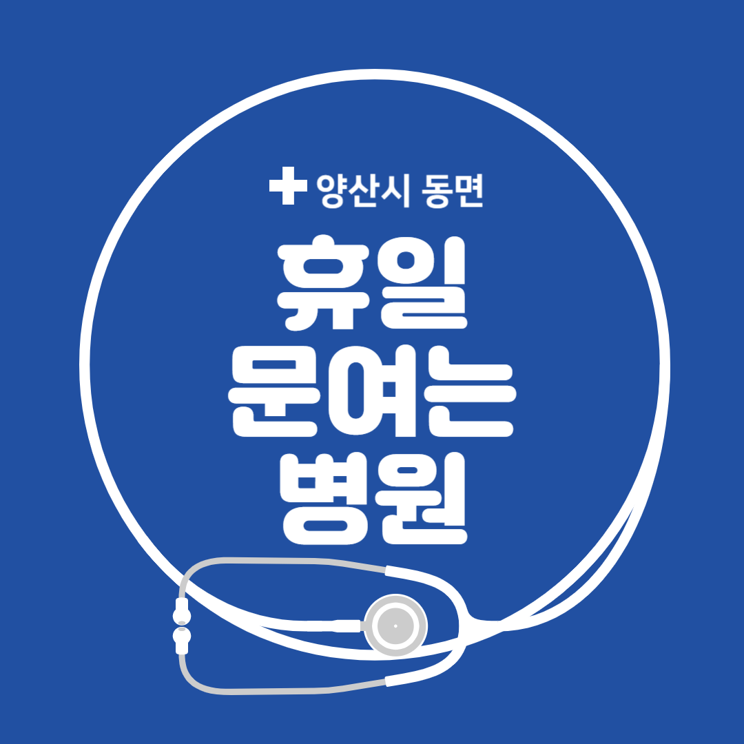 경상남도 양산시 동면 일요일 진료 휴일 문 여는 병원