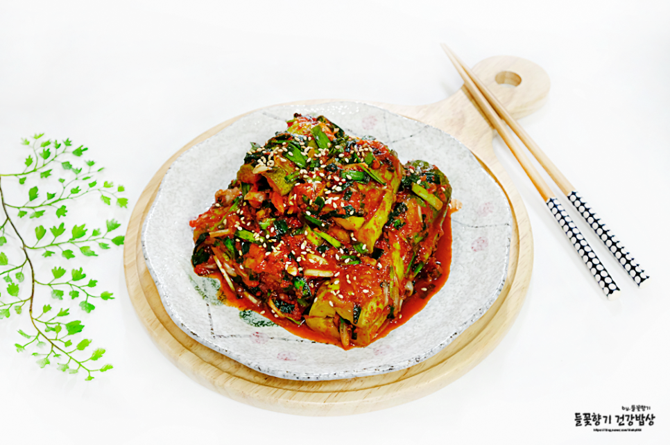 오이 김치 담그는 법 아삭아삭한 부추 오이 김치 담그는 법 12