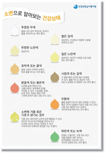소변에 의한 건강 상태