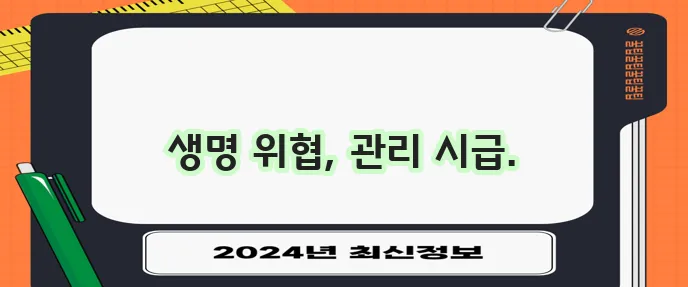 간경화 말기 증상, 합병증 및 관리