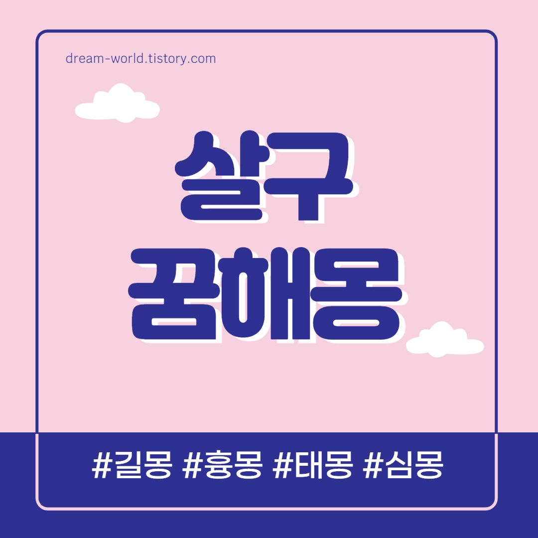  살구 꿈해몽 26가지 총정리 (노랗게 잘익은 살구 꿈 해몽, 살구꿈 풀이, 살구 따는 꿈해몽)