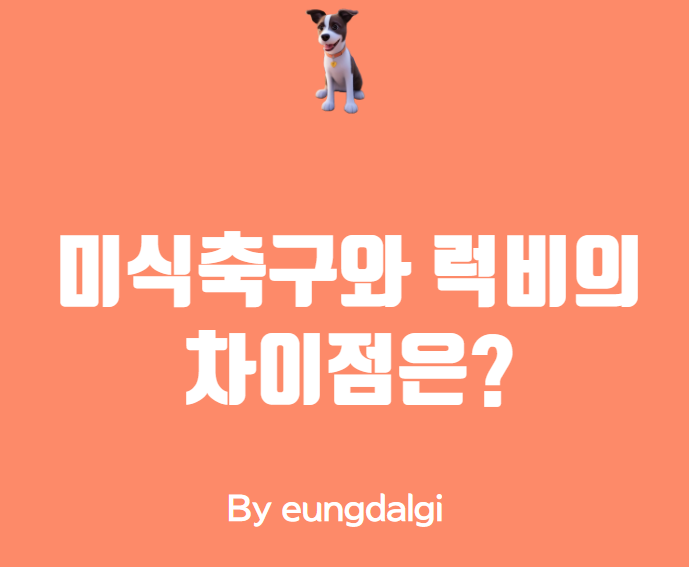  미식축구와 럭비의 차이점은?
