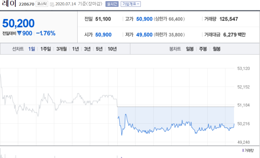 레이 주가 (레이 주가 전망)