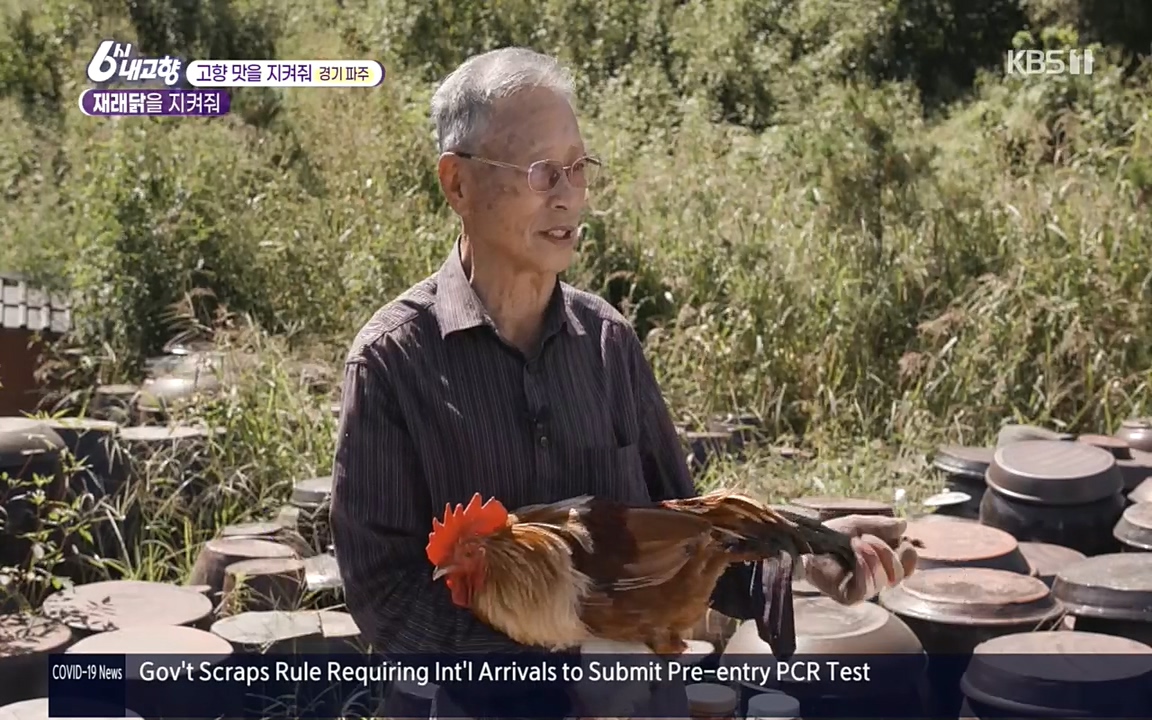 6시 내고향.E7618.220916p.H264-F1RST.mp4_20220920_202604.932.jpg