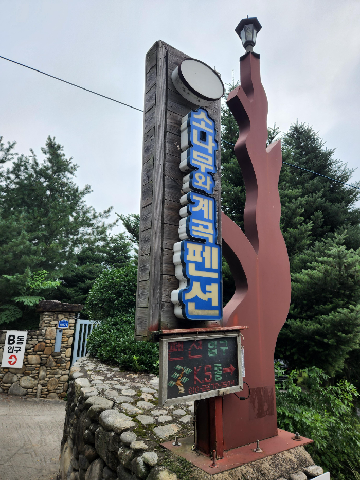 소나무와 계곡 캠핑장